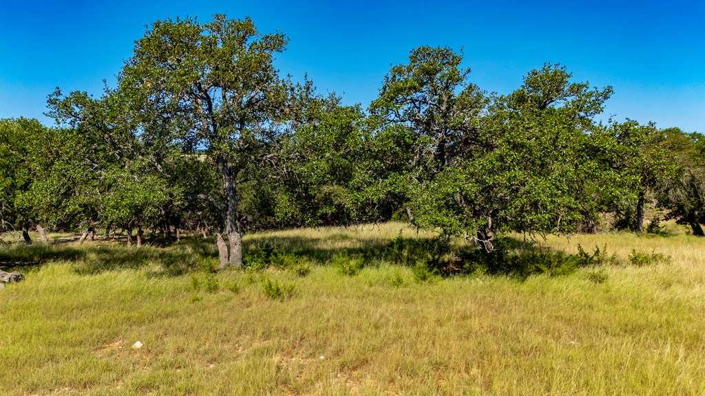 Lot 14 Thornton Rdg Drive, Unit 14 Kerrville, TX 78028 - Photo 5 of 25