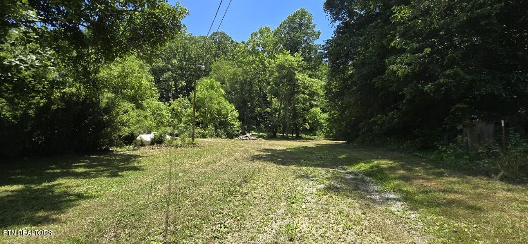 3894 Buffalo Road Oneida, TN 37841 - Photo 27 of 38 20260702_133929