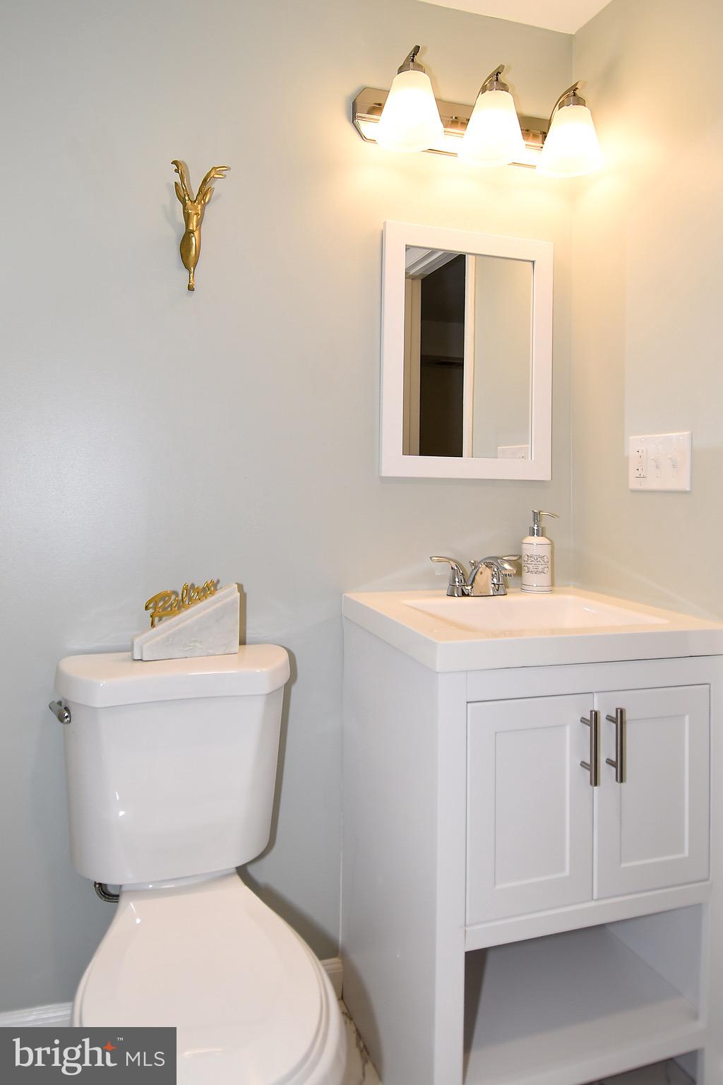 6404 Cipriano Road Lanham, MD 20706 - Photo 21 of 28 Basement Bath