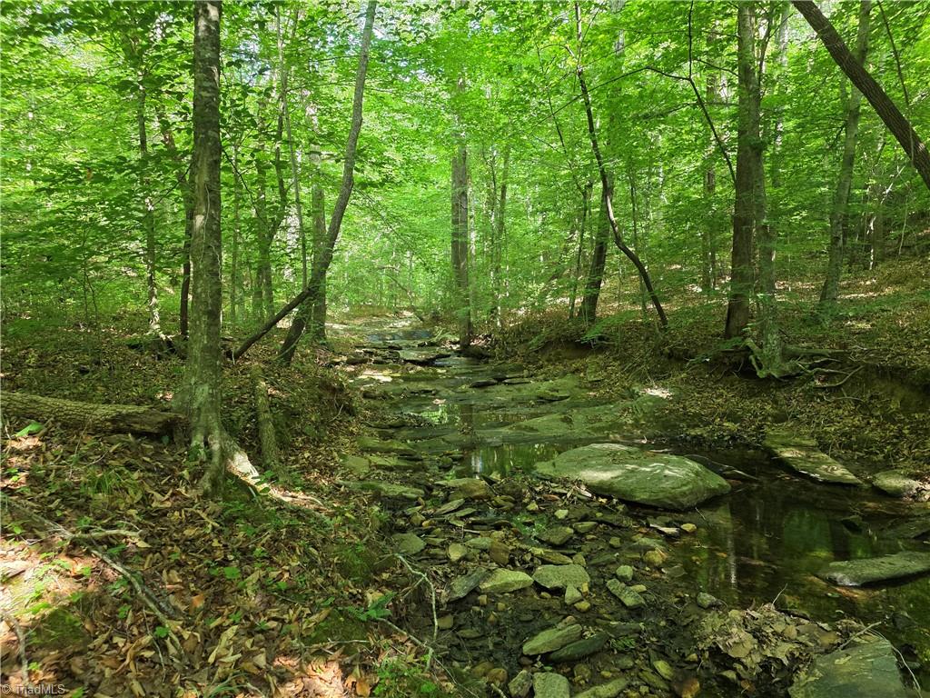 Xx 31.85-ac Xx 31.85-ac Hampton Road Germanton, NC 27019 - Photo 28 of 33
