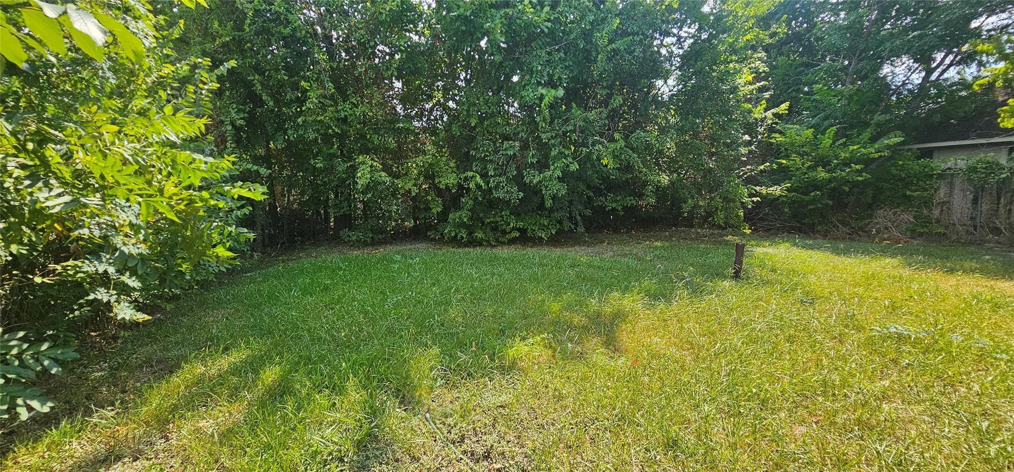 3610 Dennis Street Houston, TX 77004 - Photo 3 of 16 a view of yard with green space