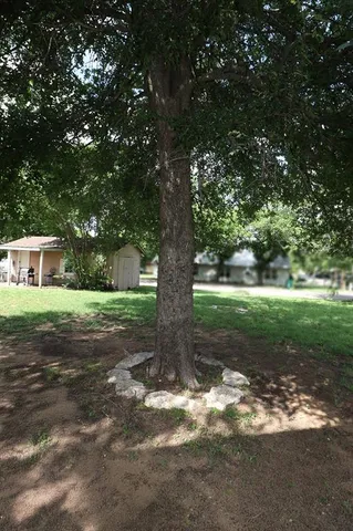 a view of a yard with tree s