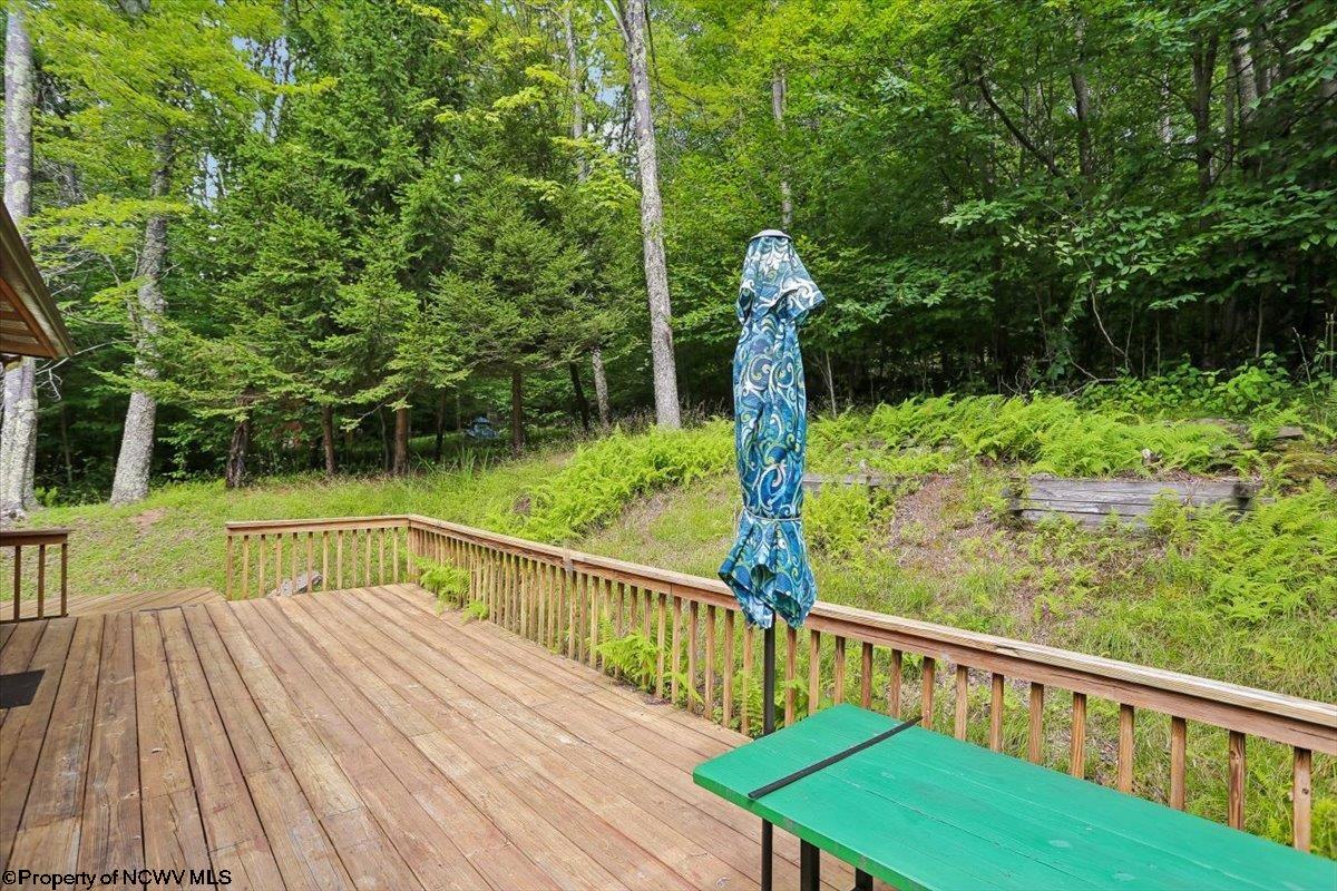 352 Ridge Road Davis, WV 26260 - Photo 36 of 47 Gallery Image 36