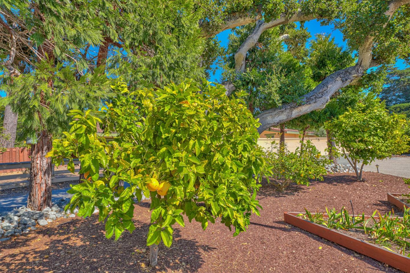 1239 Josselyn Canyon Road Monterey, CA 93940 - Photo 27 of 43
