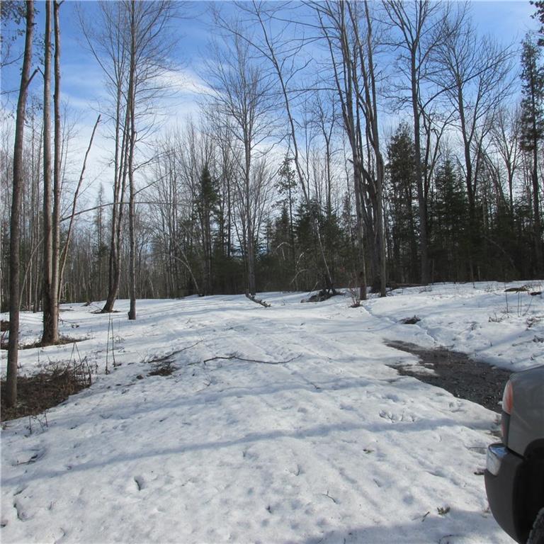 Lot 9 East Newport Road Stetson, ME 04488 - Photo 7 of 7 Photo
