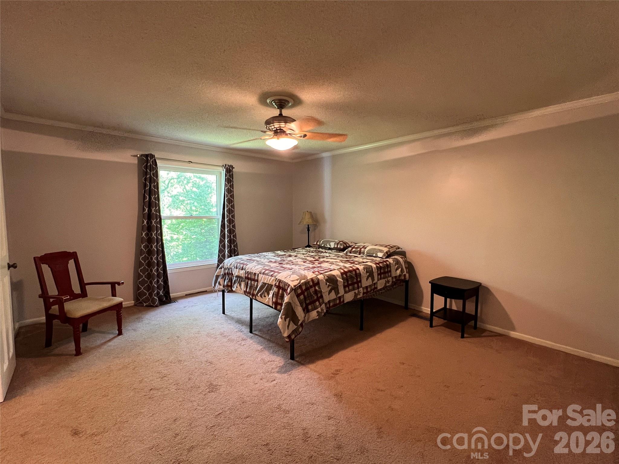 1426 Alf Hoover Road Vale, NC 28168 - Photo 13 of 35 a bedroom with a bed a chair and potted plant