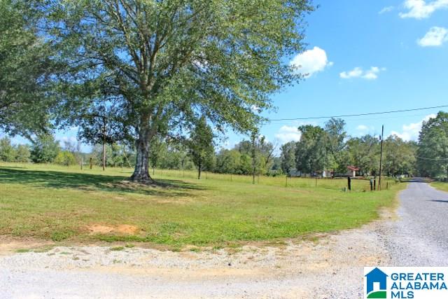 1239 Whisenant Road Ohatchee, AL 36271 - Photo 35 of 44 Gallery Image 35