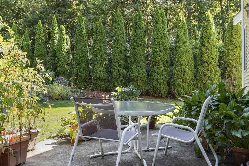 64 Harrison Avenue Wakefield, MA 01880 - Photo 29 of 37