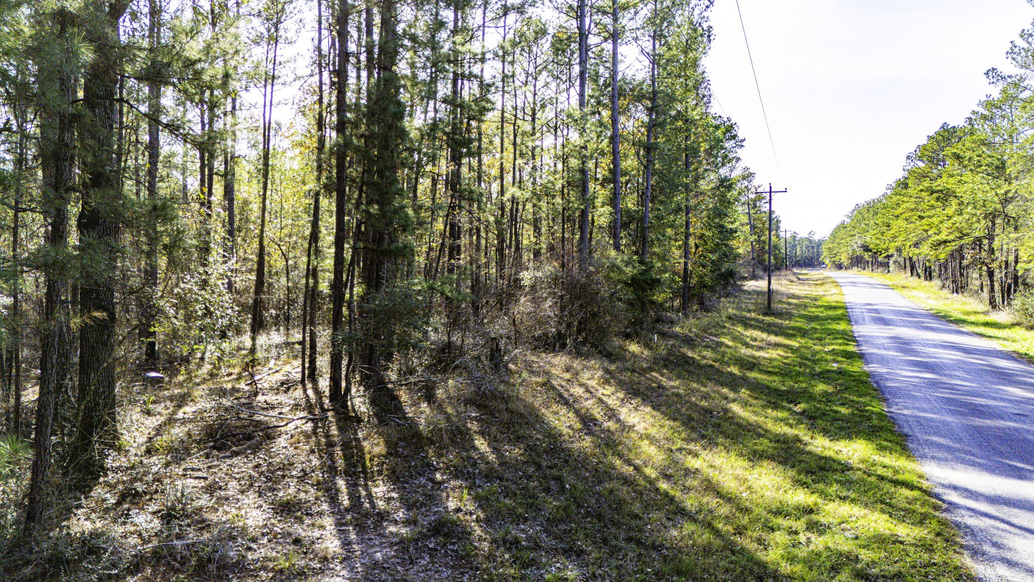 38 Sportsman Retreat Road Onalaska, TX 77360 - Photo 2 of 10 a view of yard
