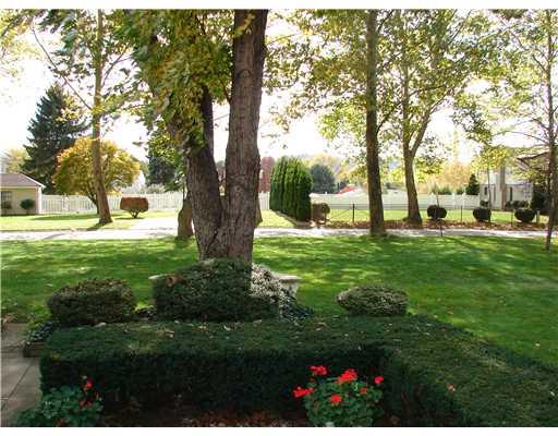 1070 Butler Road Springdale, PA 15144 - Photo 4 of 8 Yard/Garden.