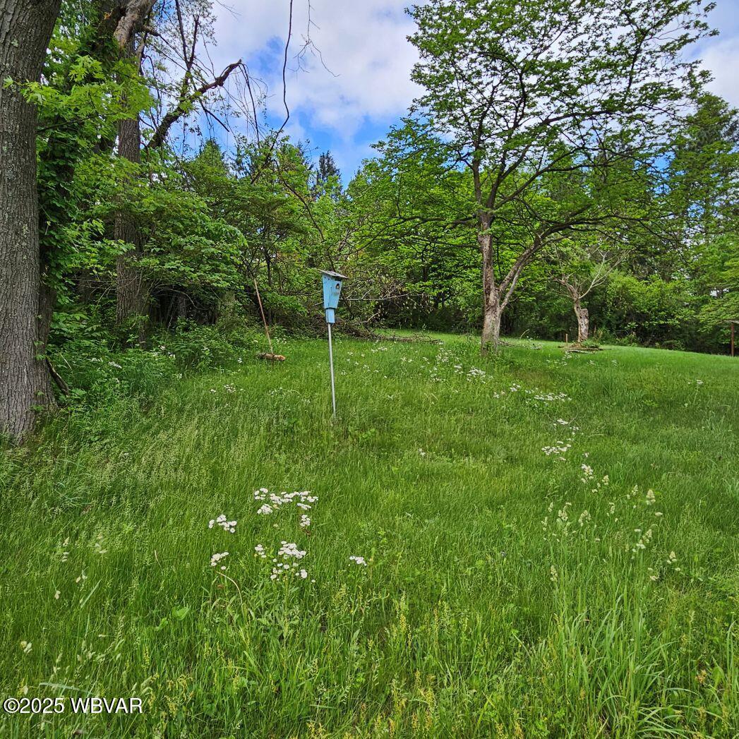 2465 Eagle Valley Road Mill Hall, PA 17751 - Photo 33 of 35 B rear yard 2