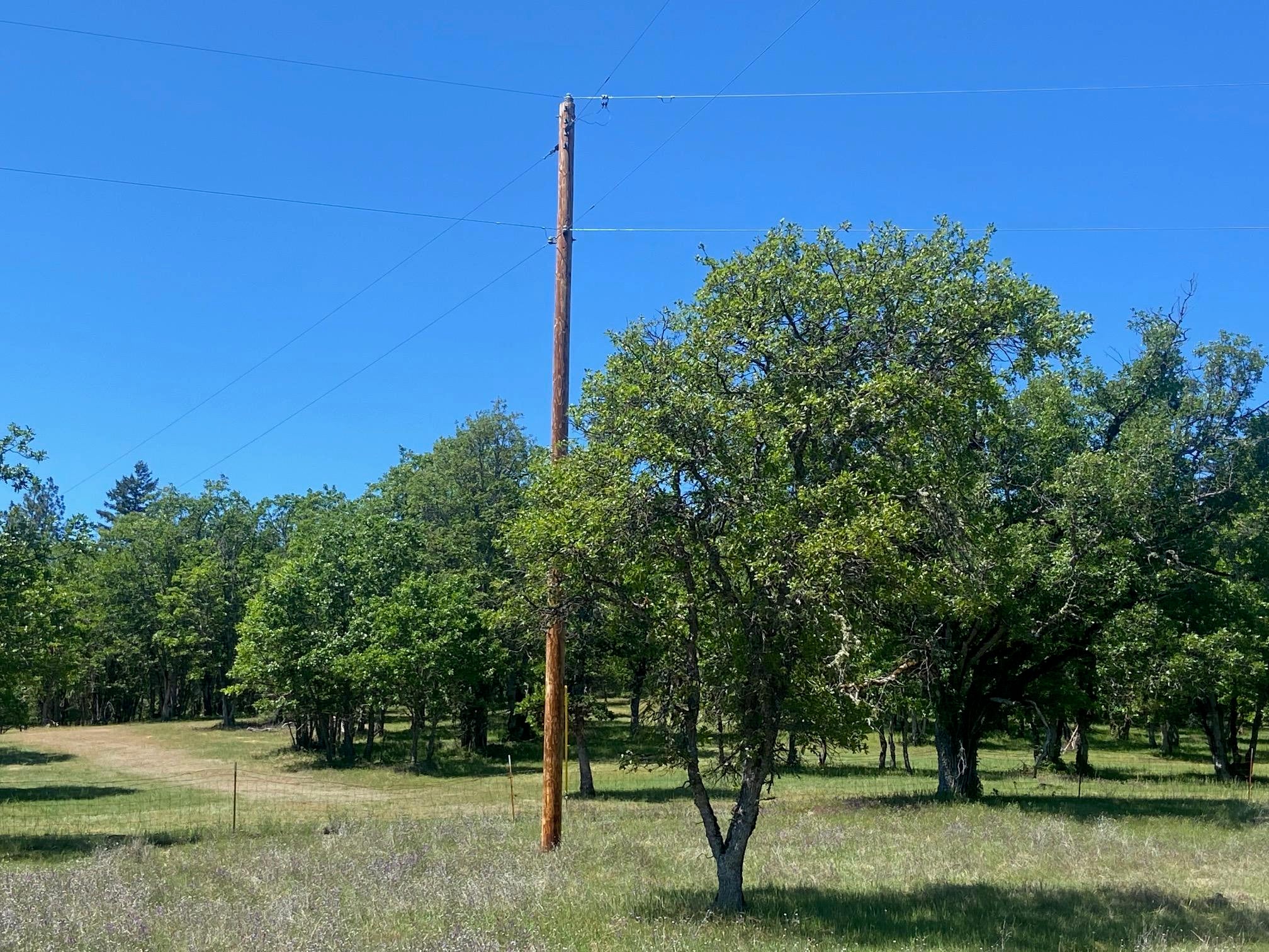 13067 Duggan Road Gold Hill, OR 97525 - Photo 11 of 11 Power Pole