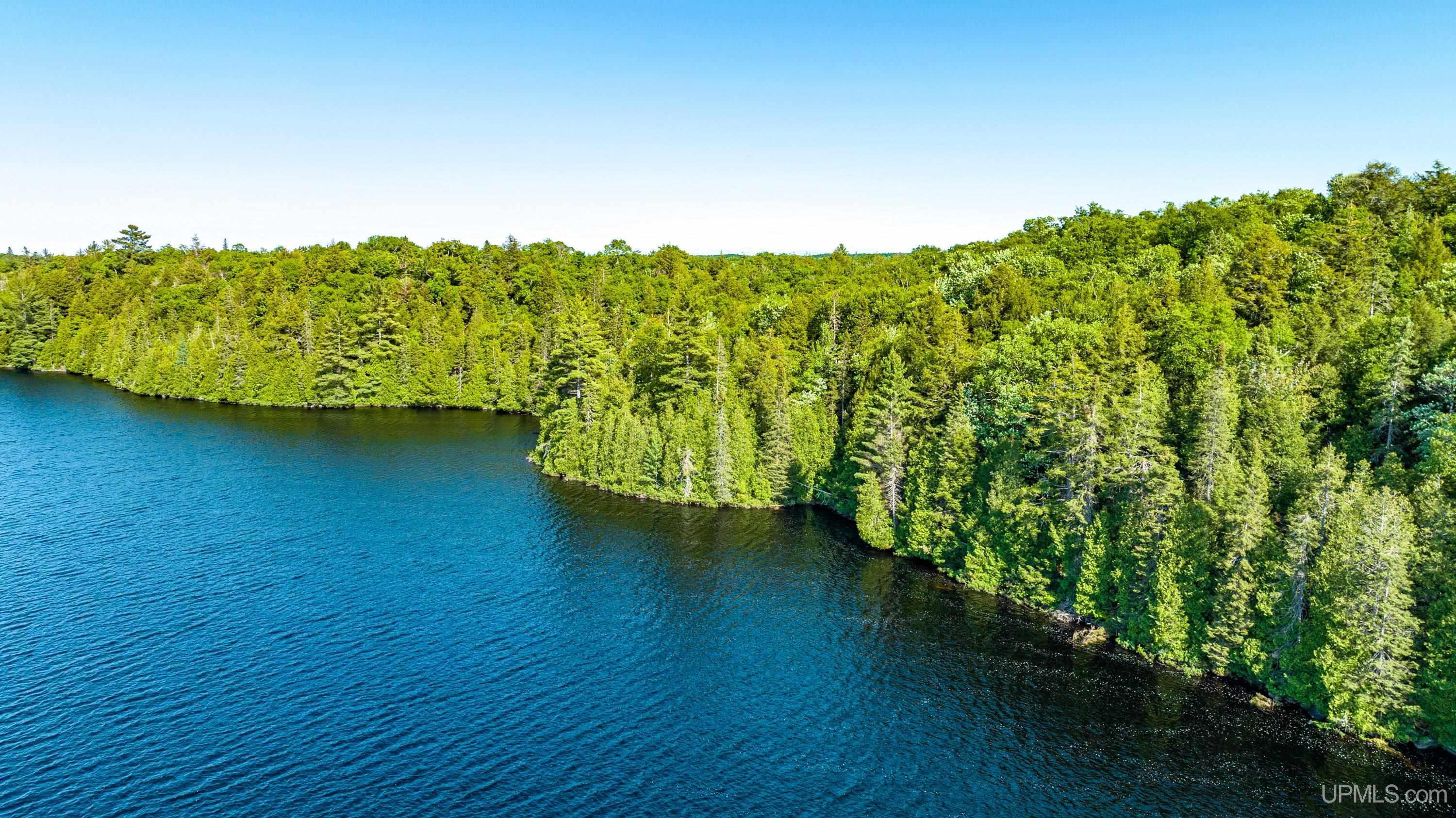 Tbd Tbd Dommer Lake Road Michigamme, MI 49861 - Photo 1 of 25
