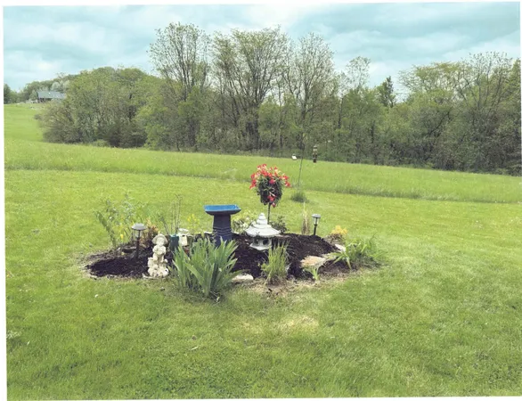 a view of a bench in the garden near a lake
