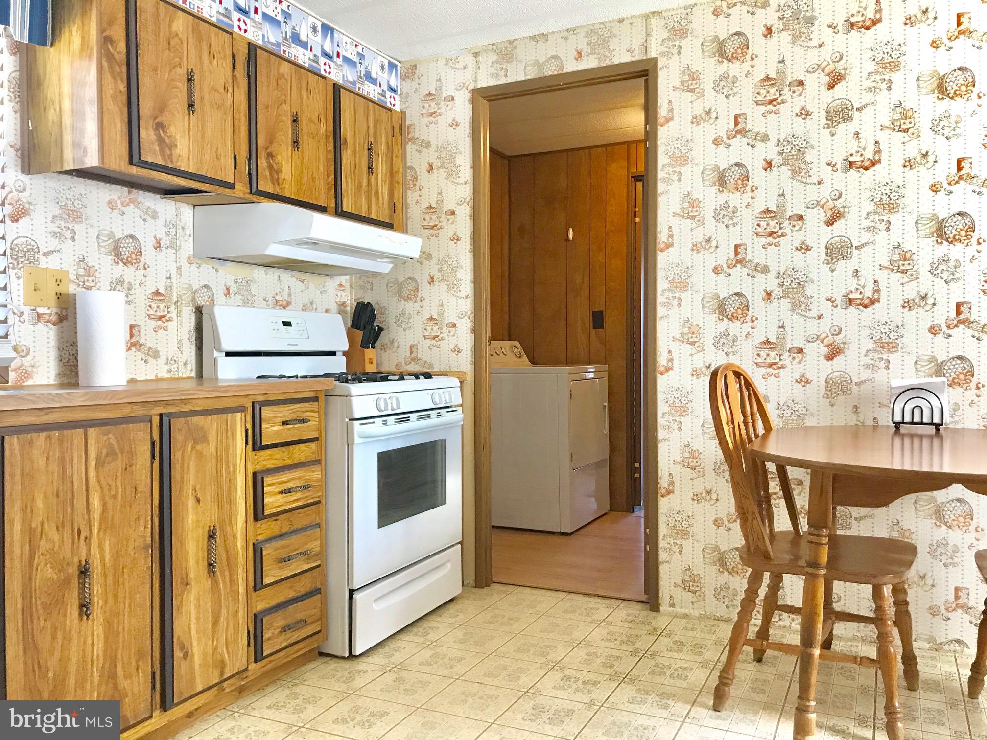 17222 Ridge Line Drive Lewes, DE 19958 - Photo 12 of 31 Gas stove