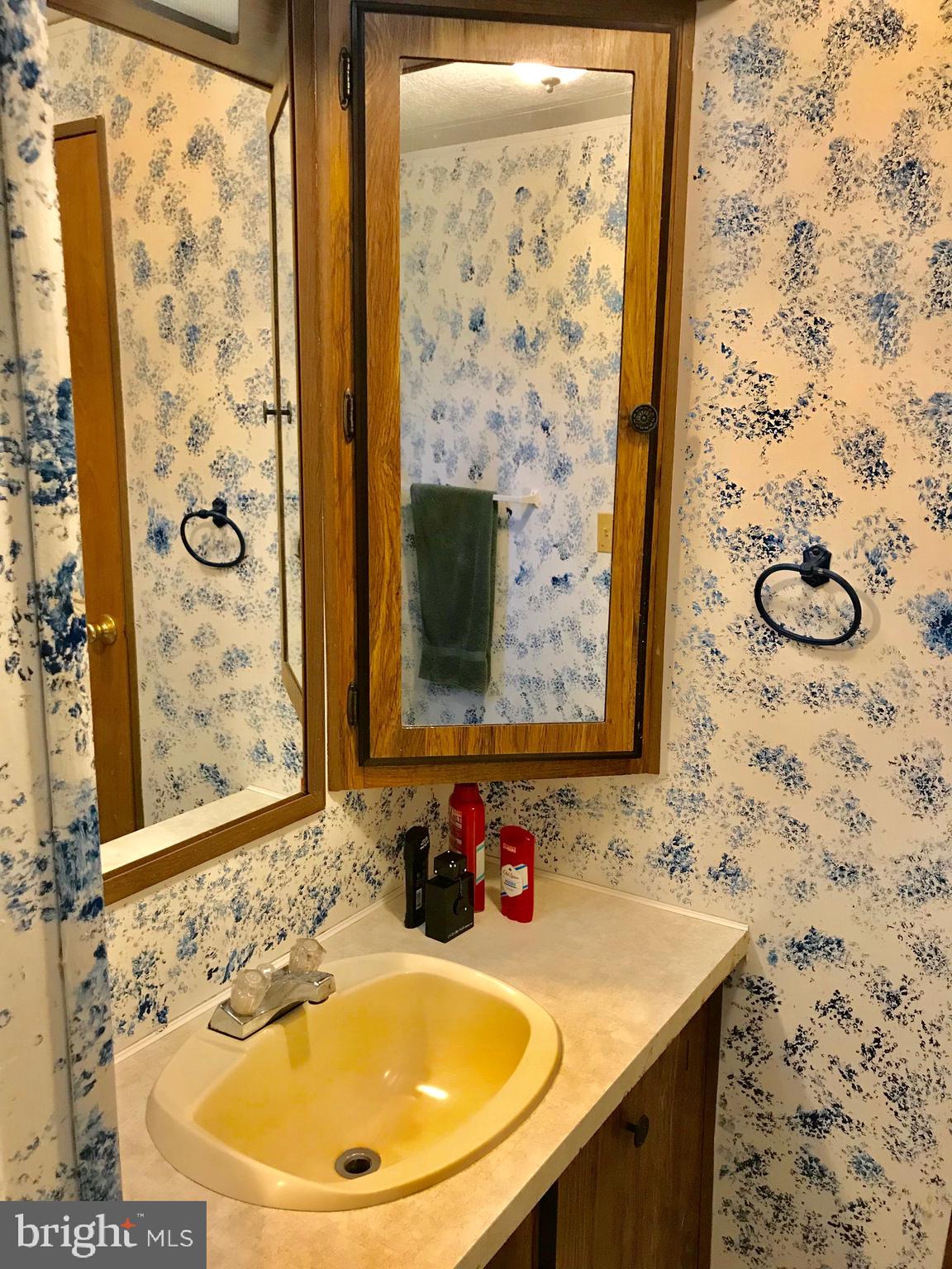 17222 Ridge Line Drive Lewes, DE 19958 - Photo 15 of 31 Master Bathroom
