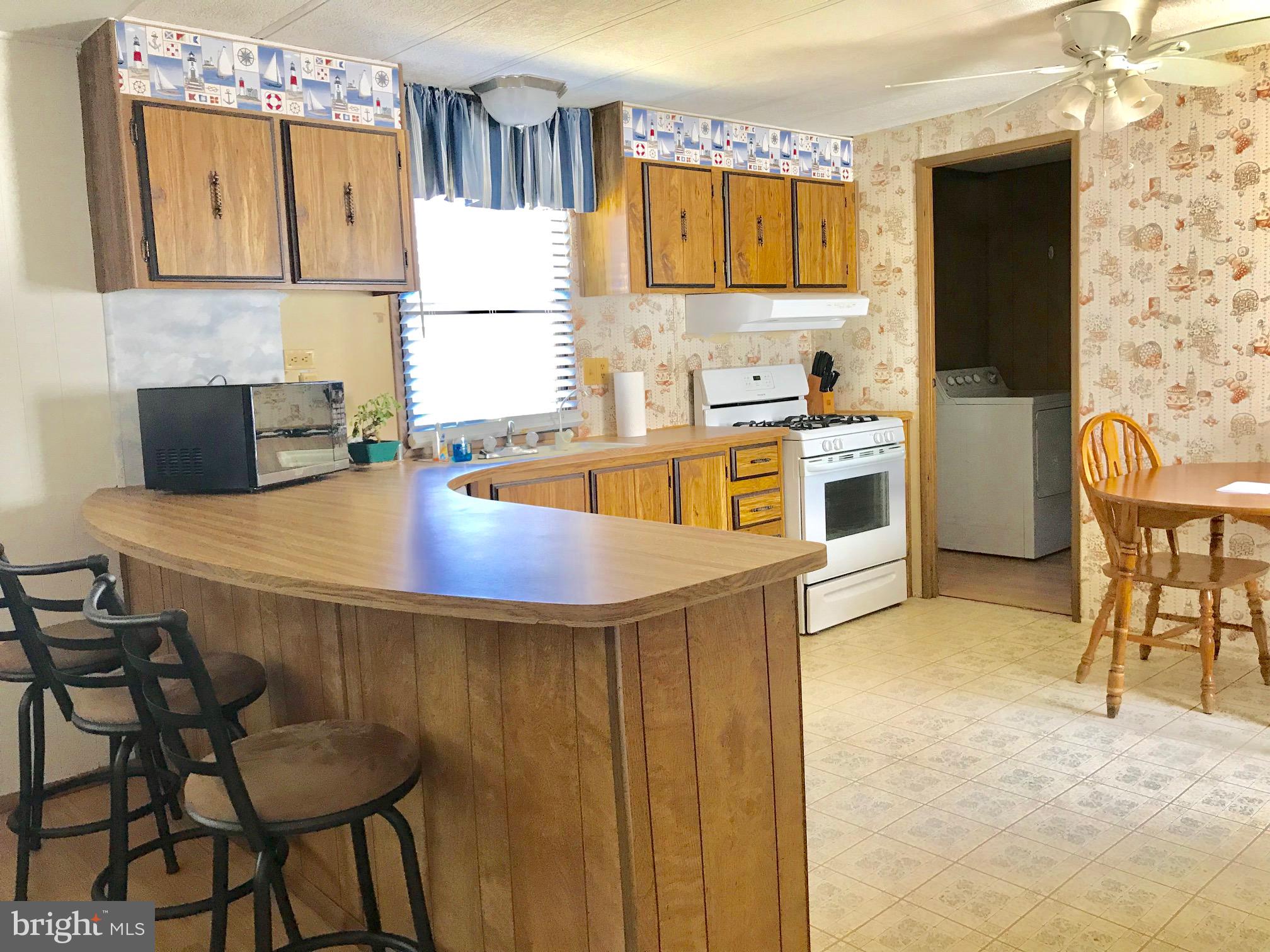 17222 Ridge Line Drive Lewes, DE 19958 - Photo 10 of 31 Breakfast Bar