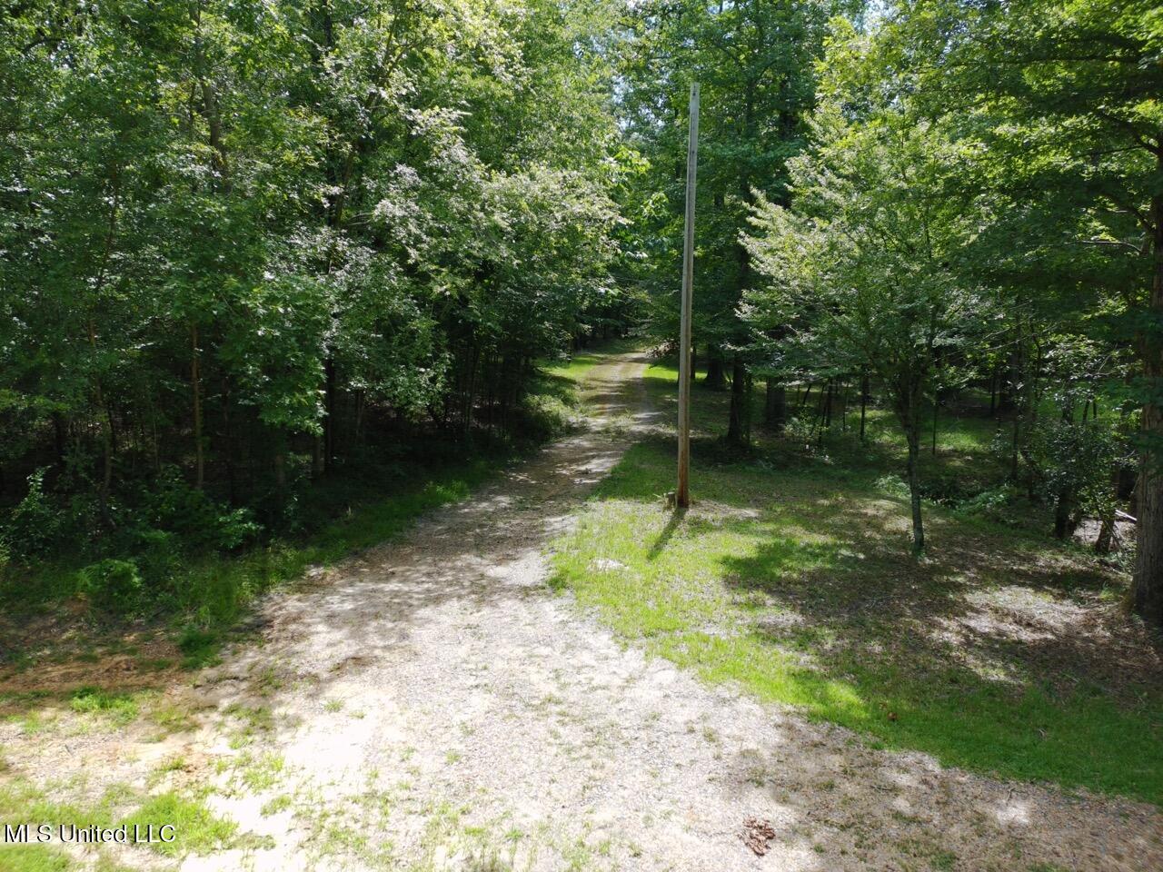 7511 Midway Road Raymond, MS 39154 - Photo 52 of 56 _app_sd_ATOM_001_DCIM_PTSC_0079 Large