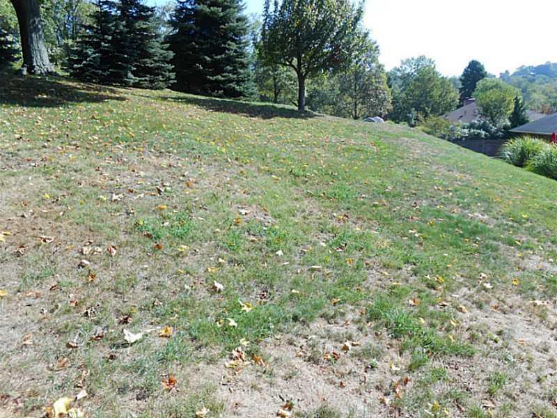 81 Old York Road Washington, PA 15301 - Photo 15 of 15 Yard/Garden.