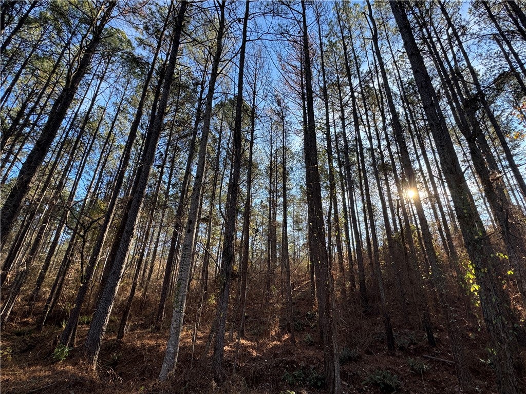 0 Farmville Road Camp Hill, AL 36850 - Photo 31 of 35 Gallery Image 31