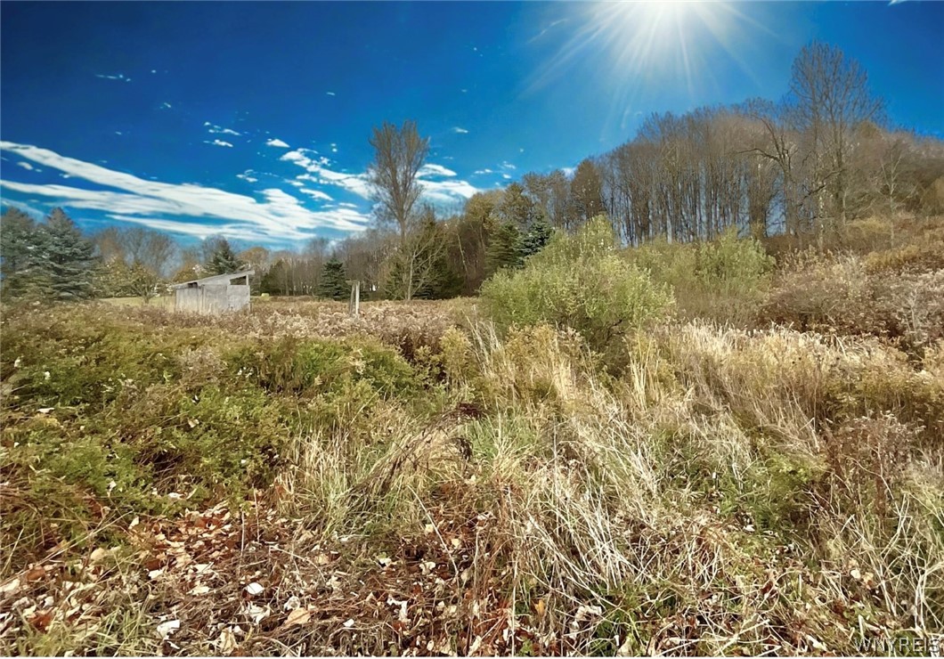 11046 Sandbank Road Freedom, NY 14065 - Photo 13 of 14