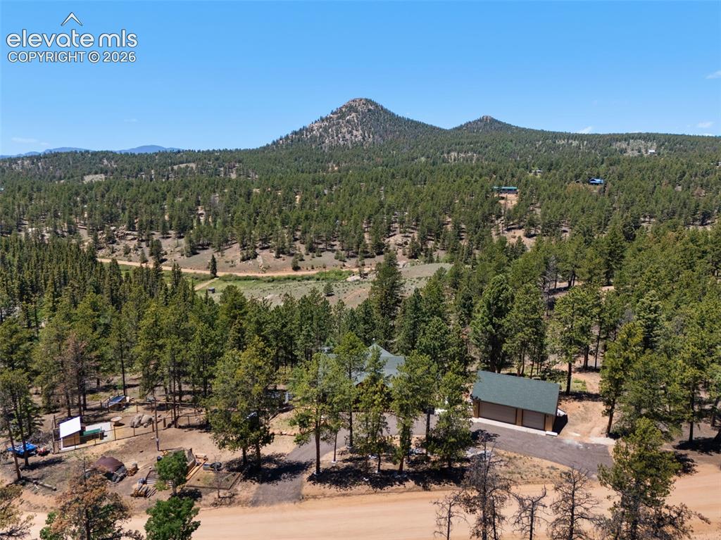 897 Fossil Creek Road Florissant, CO 80816 - Photo 40 of 41