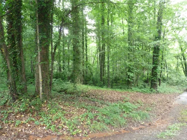 a view of outdoor space and green space