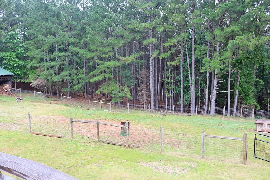 3129 Etchison Road Loganville, GA 30052 - Photo 44 of 58 a view of a swimming pool with a bench and trees