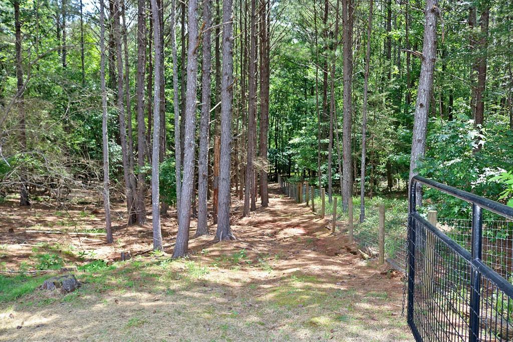 3129 Etchison Road Loganville, GA 30052 - Photo 48 of 58 a view of outdoor space with trees