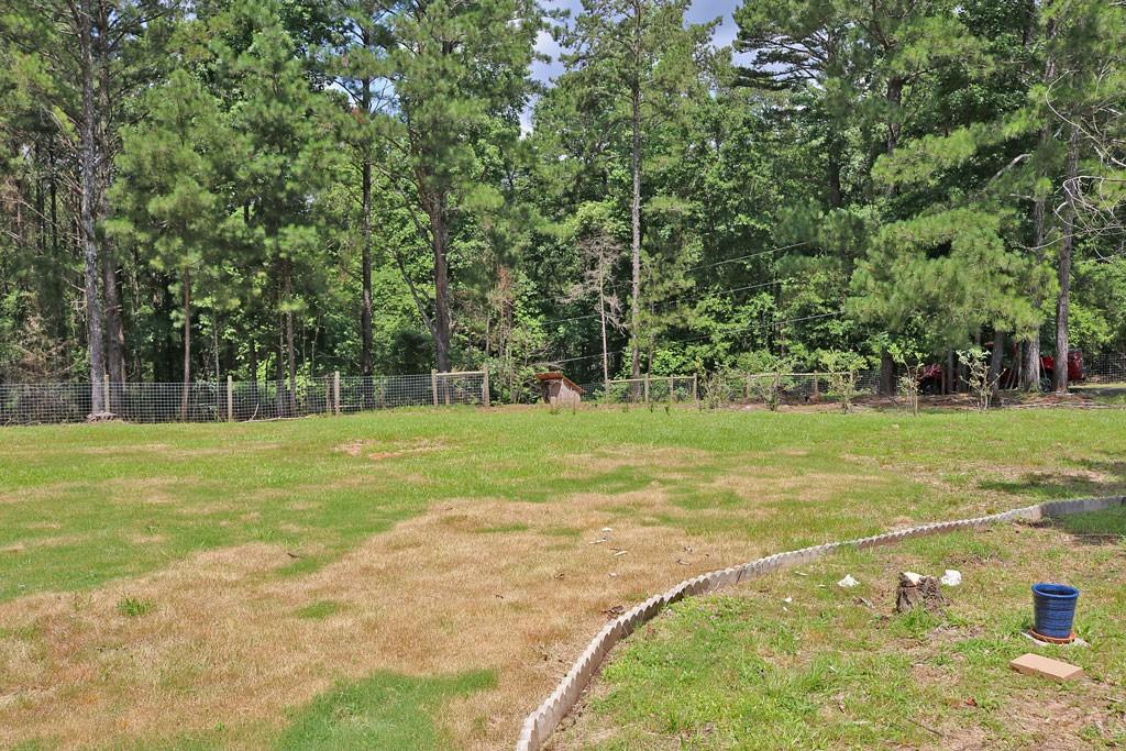 3129 Etchison Road Loganville, GA 30052 - Photo 51 of 58 a view of a playground with basketball court