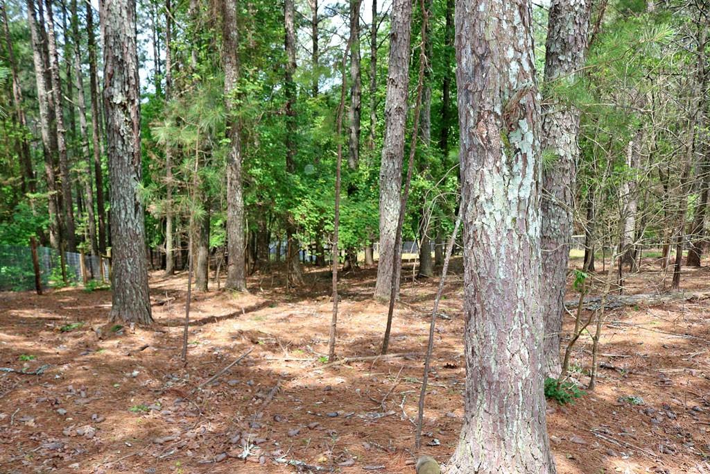 3129 Etchison Road Loganville, GA 30052 - Photo 53 of 58 a view of a forest with trees