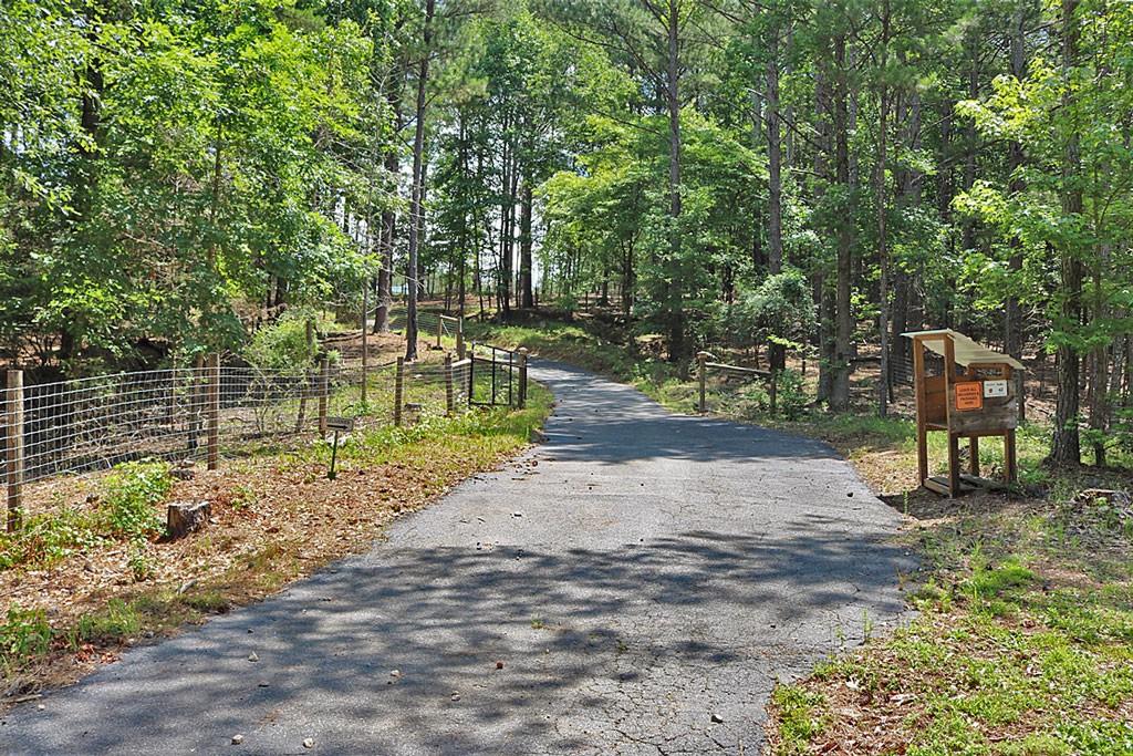 3129 Etchison Road Loganville, GA 30052 - Photo 55 of 58 a backyard of a house with lots of green space