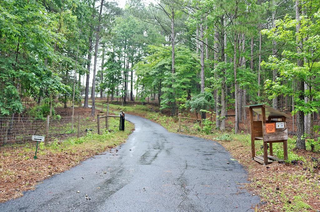 3129 Etchison Road Loganville, GA 30052 - Photo 56 of 58 a view of a park with plants and large trees