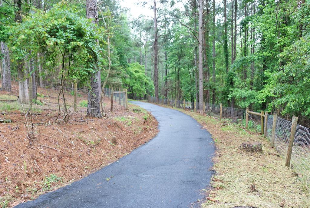 3129 Etchison Road Loganville, GA 30052 - Photo 57 of 58 a view of a backyard with large trees