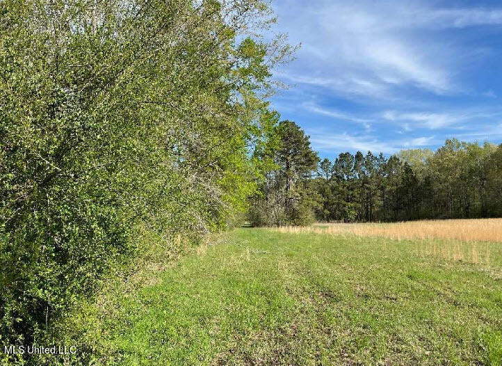 210 Green Gable Road Terry, MS 39170 - Photo 11 of 11 West line