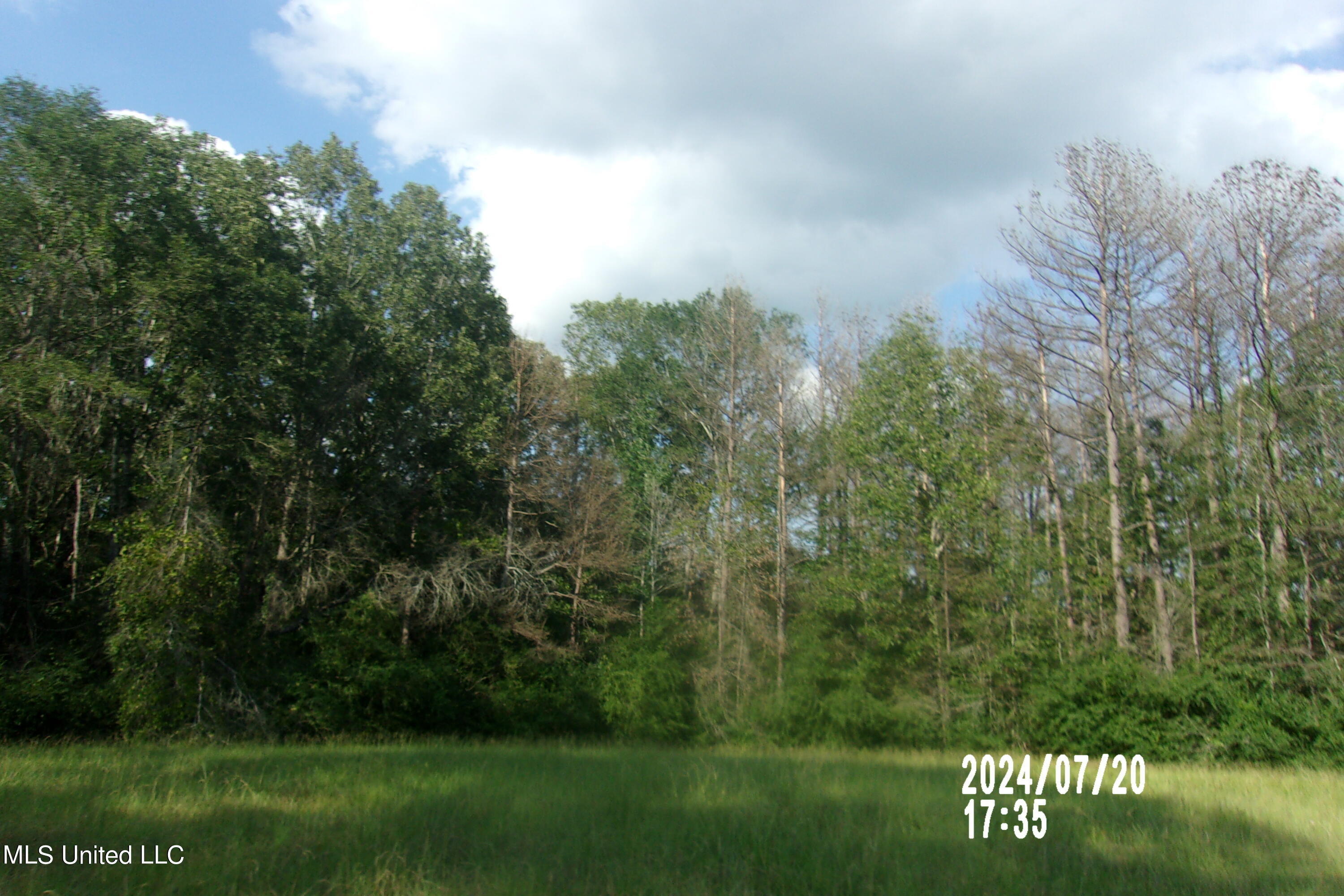 210 Green Gable Road Terry, MS 39170 - Photo 7 of 11 106_6518