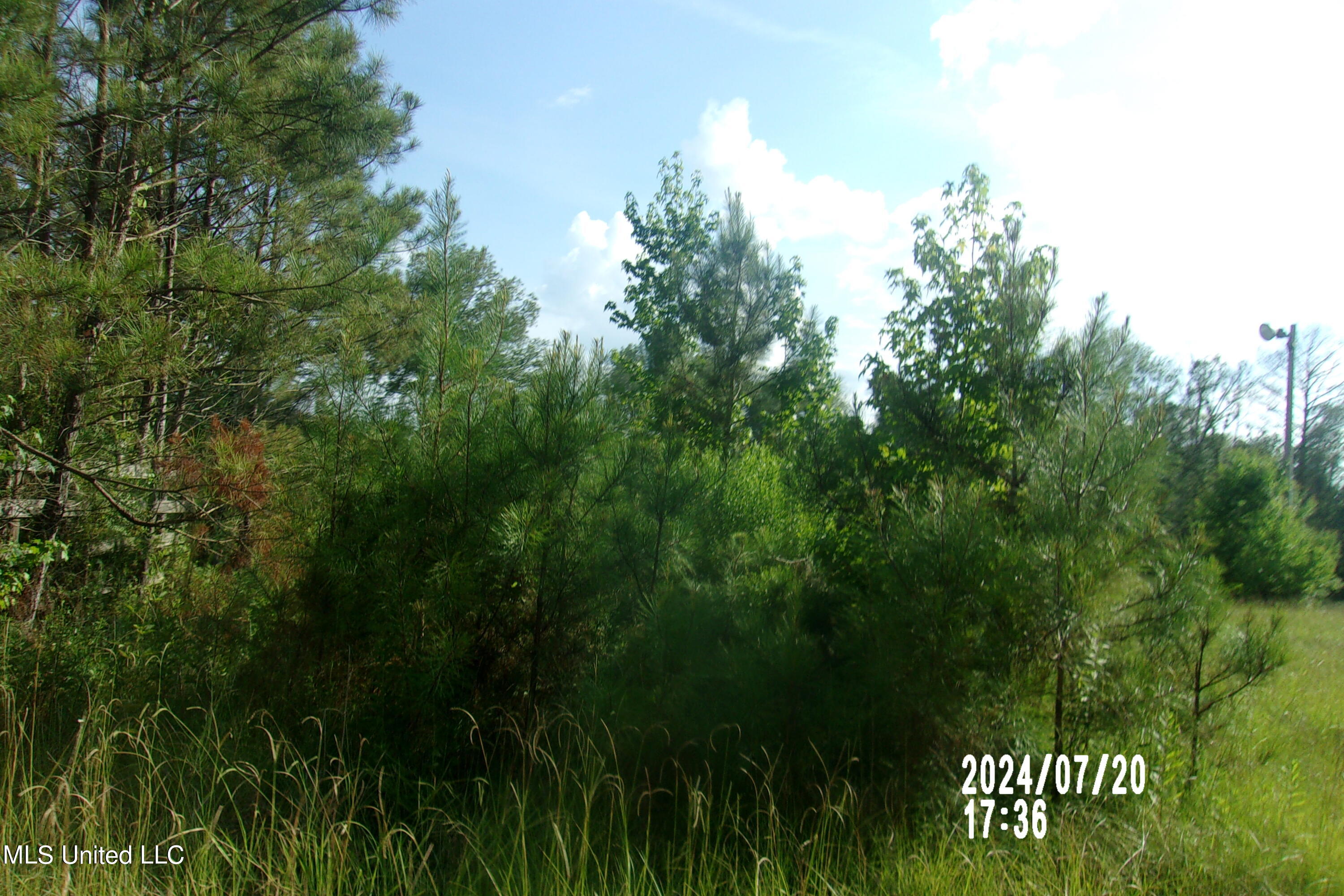 210 Green Gable Road Terry, MS 39170 - Photo 9 of 11 106_6520