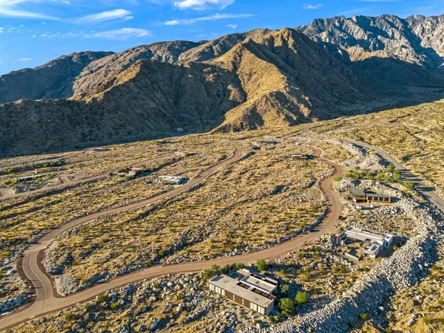 a view of a large tree with a yard
