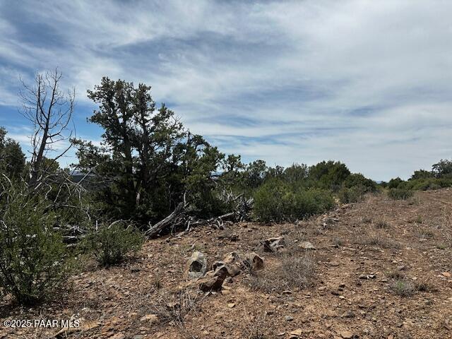 0 Shiloh Road Seligman, AZ 86337 - Photo 28 of 37 IMG_8831