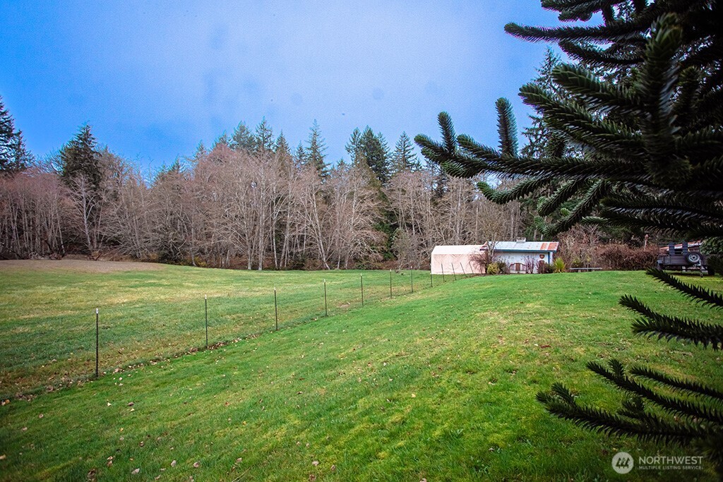 951 Bulman Road Southeast Port Orchard, WA 98366 - Photo 30 of 39 a big yard with lots of green space and palm trees