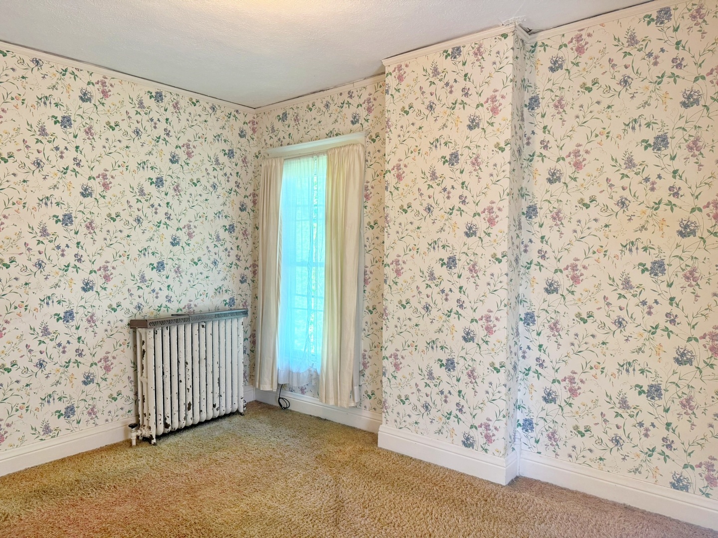 310 East 3rd Street Metropolis, IL 62960 - Photo 23 of 30