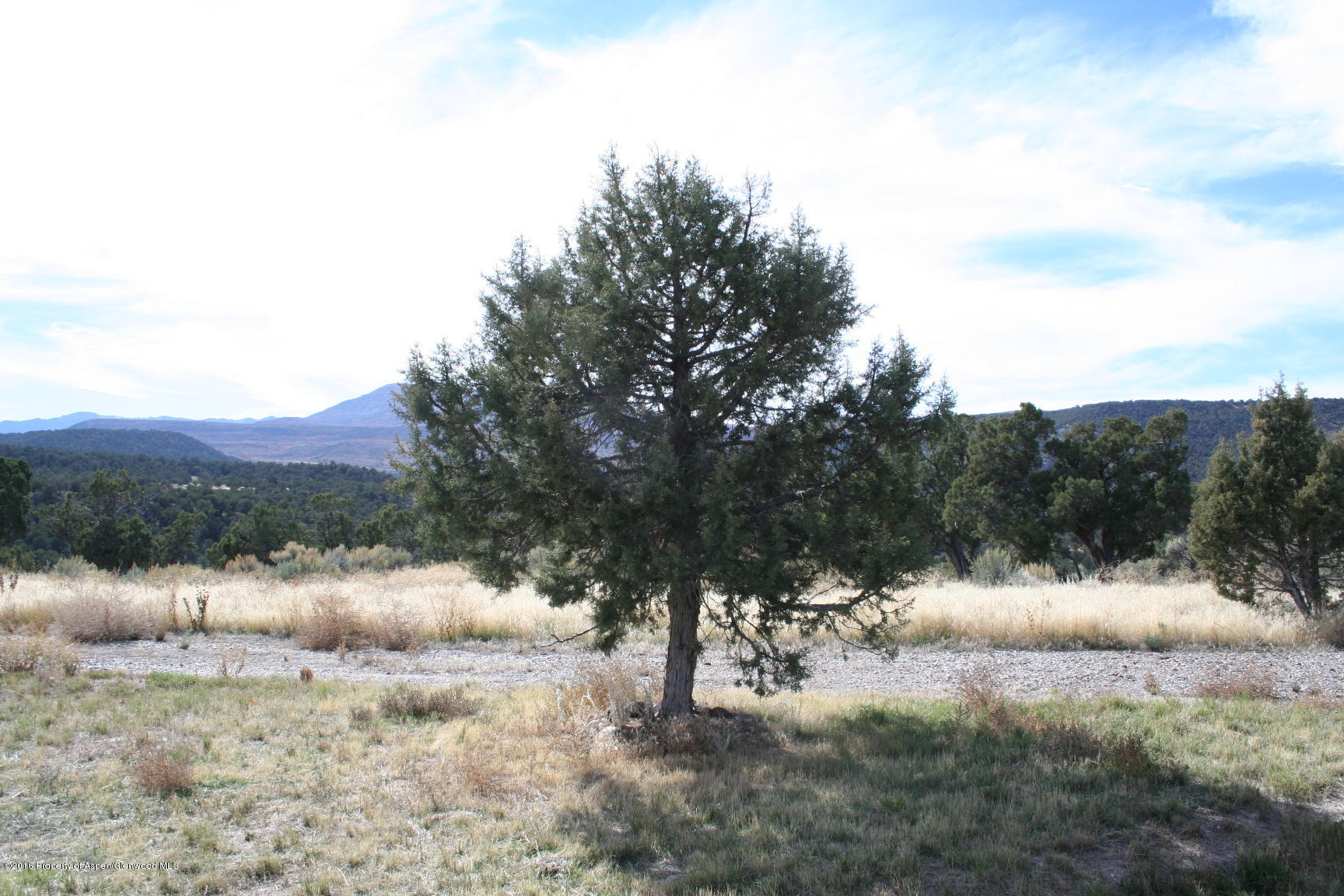 1215 Cedar Springs Ranch Road Rifle, CO 81650 - Photo 11 of 24 2016-10-14 13.35.09
