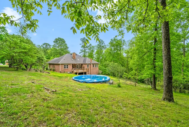 a view of a trees with a trees