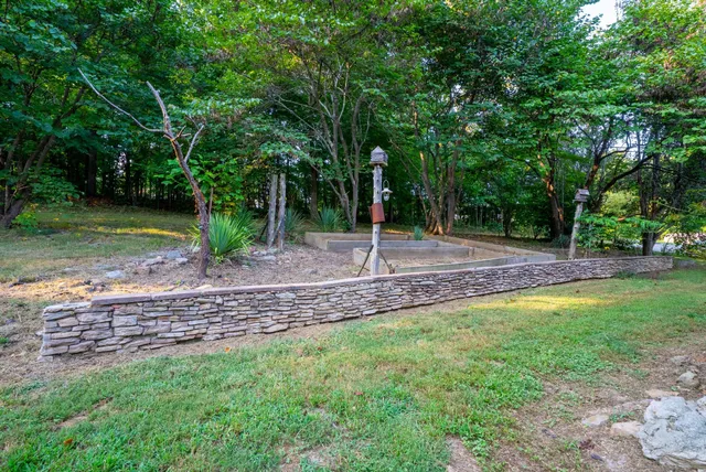 a view of a yard with a tree