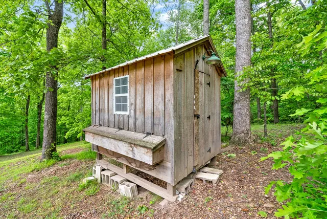 a view of a park with large trees