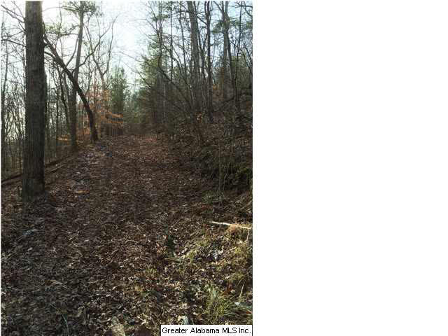 734 Valley Grove Road, Unit 15 4 ACR Remlap, AL 35133 - Photo 13 of 32