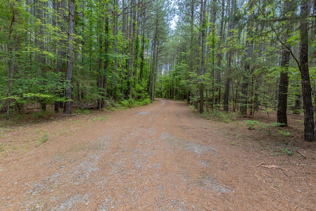 2685 Double Bridges Road Keysville, VA 23947 - Photo 34 of 35 Gallery Image 34