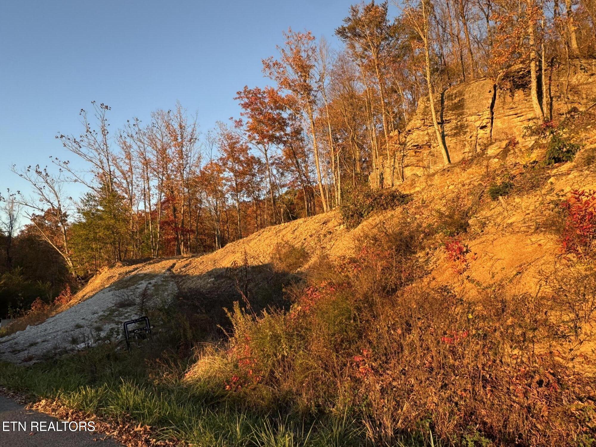 Big Ridge Road Oneida, TN 37841 - Photo 1 of 33 IMG_4982