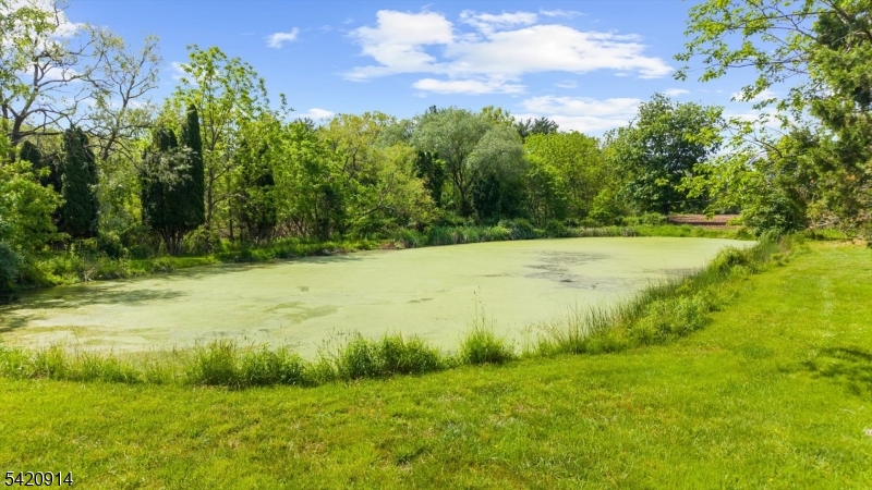 441 Pittstown Road Pittstown, NJ 08867 - Photo 34 of 48