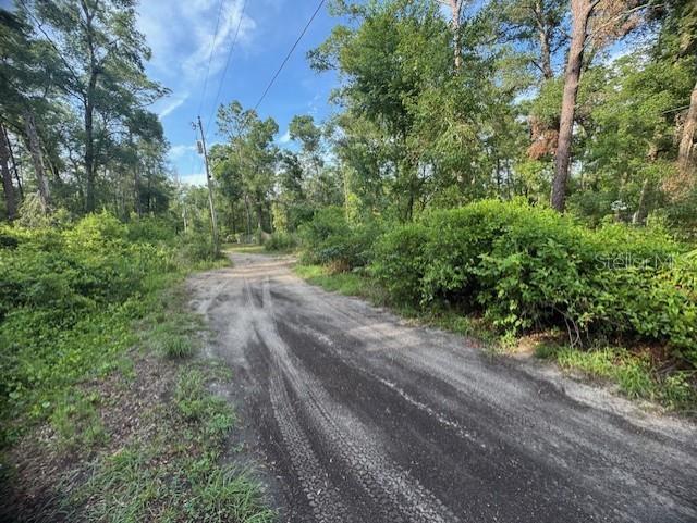 Southwest 58th Street Webster, FL 33597 - Photo 11 of 11 a view of a yard with plants and a trees